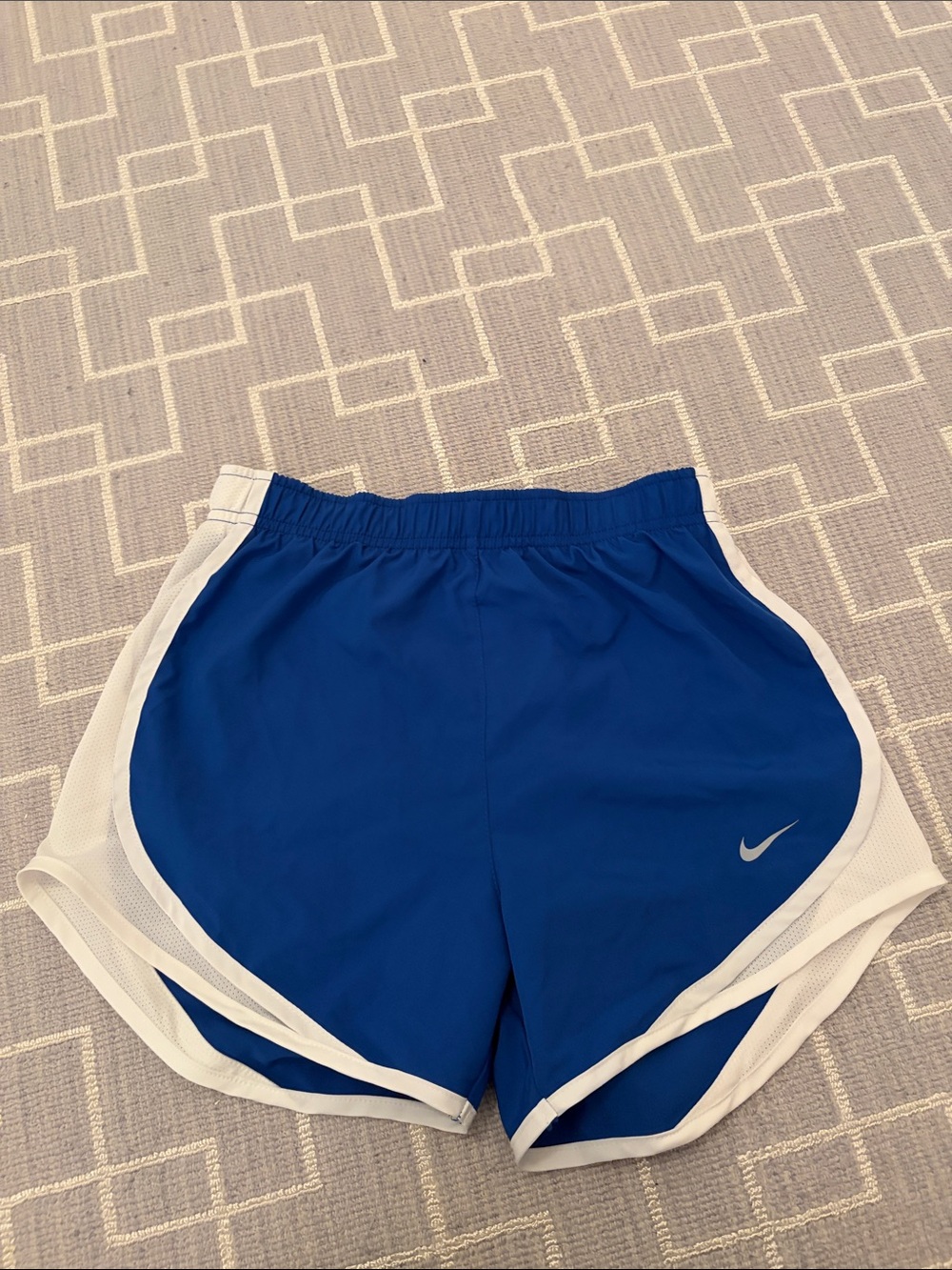 Nike Royal Blue Athletic Shorts with White Trim